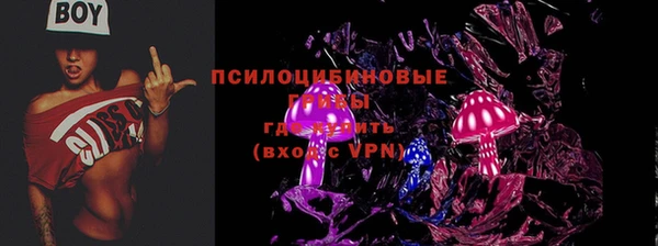 ГАЛЛЮЦИНОГЕННЫЕ ГРИБЫ Беломорск