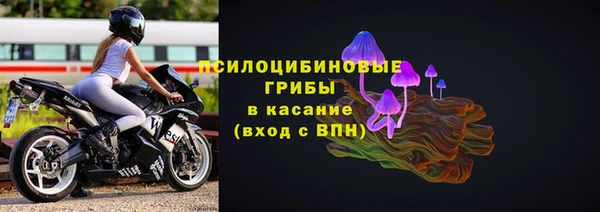 гашик Белокуриха