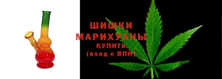 гашик Белокуриха