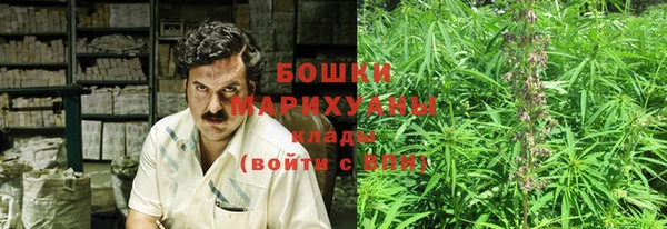 ГАЛЛЮЦИНОГЕННЫЕ ГРИБЫ Беломорск