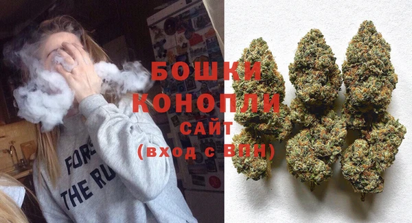 гашик Белокуриха